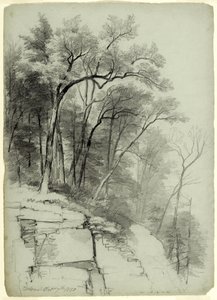 Studie van bomen en rotsen, Catskill Clove, New York, 1850 door Asher Brown Durand